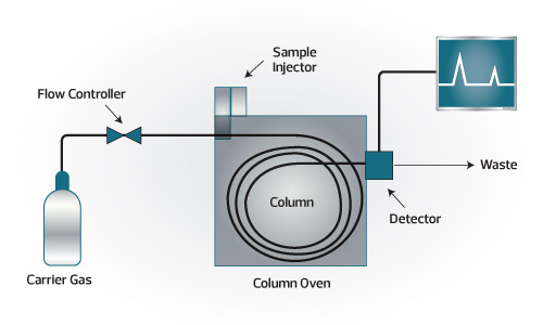 Diagram of a Gas Chromatograph